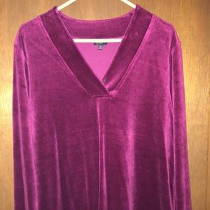 Talbots vneck velour top.